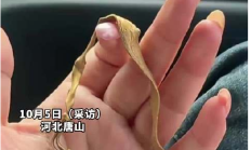 
        		收花生找到姥姥丢了12年的金镯子 ！网友：今年这花生老值钱了！	