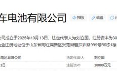 山东理想汽车电池有限公司落地枣庄