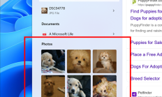 Windows 11搜索迎来全新功能！可搜索图片并显示结果