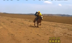
        		游客在大草原点外卖 骑手小哥飞马追车送达 网友：遇到了真骑手 不白来 !	