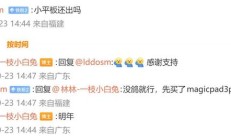 没鸽：荣耀小平板确认推出，明年亮相