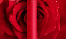 
        		售价3.2万！董明珠回应玫瑰空调争议：这是世界首台 你不喜欢有人喜欢 !	