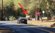 特斯拉Cybercab首次公共路测曝光：配备驾驶员与外后视镜