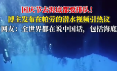 
        		中国游客在帕劳潜水像下饺子：去海底都要排队 鱼还没有人多 ！	