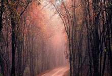 滕州：市政协增补孔磊为十六届市政协副主席，谢经雷为十六届市政协秘书长，宋捷为十六届市政协常务委员。