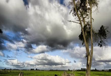 滕州：将在这里新建10万吨特种纸项目！