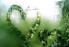 词语阐述剖析:暗度陈仓猜打一正确生肖暗度陈仓什么意思,精准文化解析释义落实