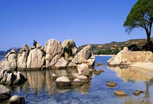 词语解析:坐吃享福猜打是什么生肖坐吃享福是什么意思,精准文化解析释义落实